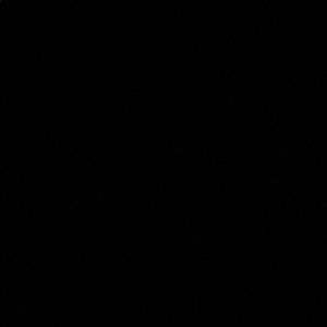 Meet your Posher, Gavin